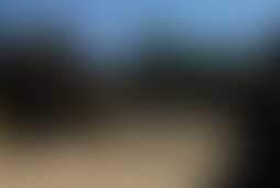 Фотография ролевого квеста Дикий Запад от компании выХод (Фото 1)